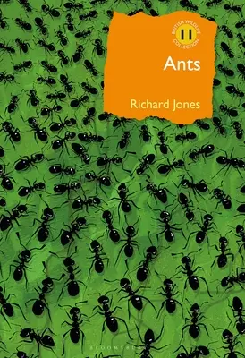 Hangyák: A végső társas rovarok - Ants: The Ultimate Social Insects