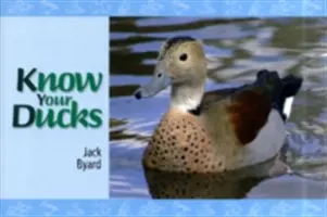 Ismerd meg a kacsáidat - Know Your Ducks