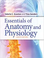 Az anatómia és élettan alapjai - Essentials of Anatomy and Physiology