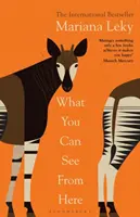 Amit innen látsz - A „meleg és kíváncsi” bestseller-jelenség - What You Can See From Here - The 'warm and curious' bestselling phenomenon