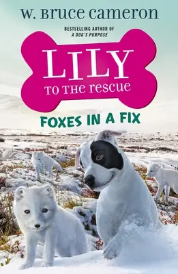 Lily to the Rescue: Lily: Rókák a bajban - Lily to the Rescue: Foxes in a Fix