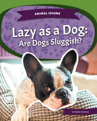 Lusta, mint egy kutya: Lusta kutyák? - Lazy as a Dog: Are Dogs Sluggish?