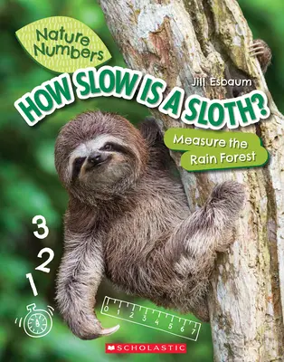 Milyen lassú egy lajhár? (Természet számok): Az esőerdő mérése - How Slow Is a Sloth? (Nature Numbers): Measure the Rainforest