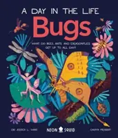 Bogarak (egy nap az életben) - Mit csinálnak egész nap a méhek, hangyák és szitakötők? - Bugs (A Day in the Life) - What Do Bees, Ants, and Dragonflies Get up to All Day?