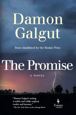 Az ígéret: Egy regény (Booker-díjas) - The Promise: A Novel (Booker Prize Winner)