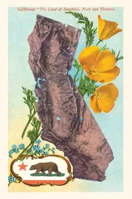 Vintage Journal Kalifornia térkép medve és pipacsok - Vintage Journal California Map with Bear and Poppies