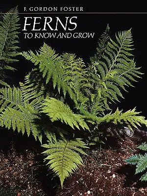 Páfrányok, amelyeket meg kell ismerni és termeszteni - Ferns to Know and Grow