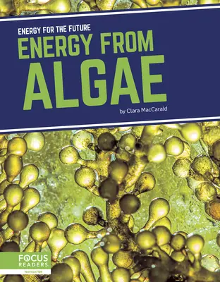 Energia az algákból - Energy from Algae