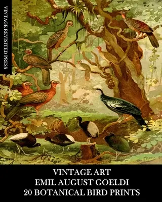 Vintage Art: Emil August Goeldi: 20 botanikai madár nyomatok: Keretezéshez, lakberendezéshez, kollázshoz és decoupage-hoz. - Vintage Art: Emil August Goeldi: 20 Botanical Bird Prints: Ephemera for Framing, Home Decor, Collage and Decoupage