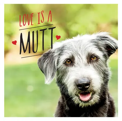 A szerelem egy korcs: A világ legaranyosabb keverék és keresztezett fajtáinak kutyás ünneplése - Love Is a Mutt: A Dog-Tastic Celebration of the World's Cutest Mixed and Cross Breeds