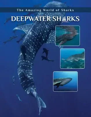 Mélytengeri cápák - Deepwater Sharks