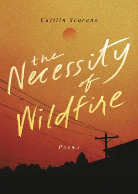 A futótűz szükségszerűsége: Poems - The Necessity of Wildfire: Poems