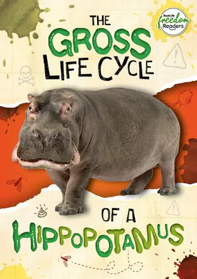 A víziló durva életciklusa - Gross Life Cycle of a Hippopotamus