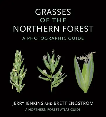 Az északi erdők füvei: Fényképes útmutató - Grasses of the Northern Forest: A Photographic Guide