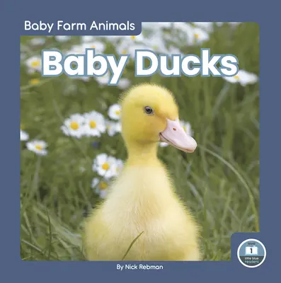 Baba kacsák - Baby Ducks