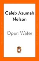 Nyílt víz - A 2021-es Costa First Novel Award győztese - Open Water - Winner of the Costa First Novel Award 2021