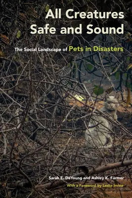 Minden teremtmény ép és egészséges: A háziállatok társadalmi helyzete katasztrófák esetén - All Creatures Safe and Sound: The Social Landscape of Pets in Disasters