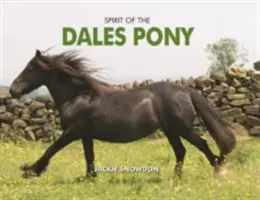 A Dales Pony szelleme - Spirit of the Dales Pony