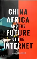 Kína, Afrika és az internet jövője - China, Africa, and the Future of the Internet