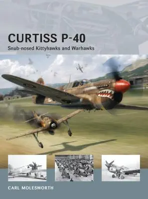 Curtiss P-40: Snub-Nosed Kittyhawks and Warhawks