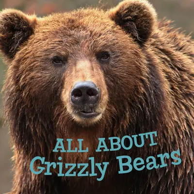 Minden a grizzly medvékről: Angol kiadás - All about Grizzly Bears: English Edition