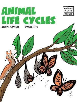 Állati életciklusok - Animal Life Cycles