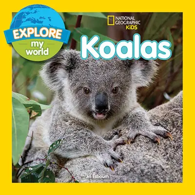 Fedezd fel a világomat Koalák - Explore My World Koalas