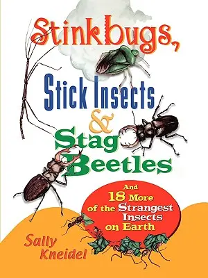 Büdösbogarak, botsáskák és szarvasbogarak: És még 18 a Föld legfurcsább rovarai közül - Stink Bugs, Stick Insects, and Stag Beetles: And 18 More of the Strangest Insects on Earth