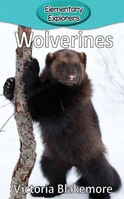 Rozsomák - Wolverines