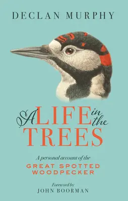 Egy élet a fák között: Személyes beszámoló a nagy foltos harkályról - A Life in the Trees: A Personal Account of the Great Spotted Woodpecker