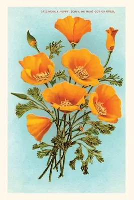 Vintage Journal Kalifornia pipacsok - Vintage Journal California Poppies