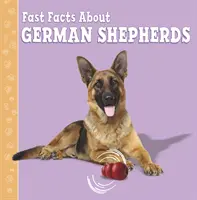 Gyors tények a német juhászkutyákról - Fast Facts About German Shepherds