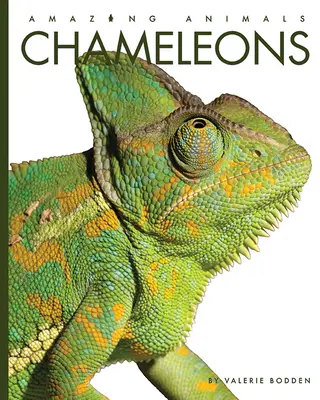 Kaméleonok - Chameleons