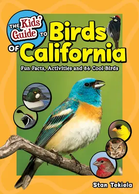 The Kids' Guide to Birds of California: Szórakoztató tények, tevékenységek és 86 menő madár - The Kids' Guide to Birds of California: Fun Facts, Activities and 86 Cool Birds