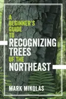 Kezdők útmutatója az északkeleti fák felismeréséhez - A Beginner's Guide to Recognizing Trees of the Northeast