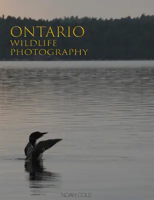 Ontario Wildlife Photography