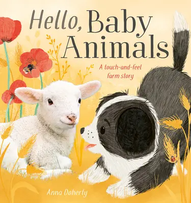 Játékidő a farmon: A Touch-And-Feel Baby Animal Storybook - Playtime on the Farm: A Touch-And-Feel Baby Animal Storybook