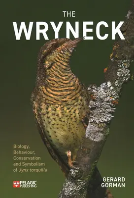 A Wryneck - The Wryneck