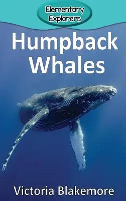 Púpos bálnák - Humpback Whales