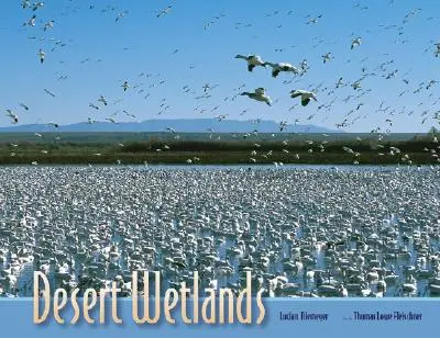 Sivatagi vizes élőhelyek - Desert Wetlands