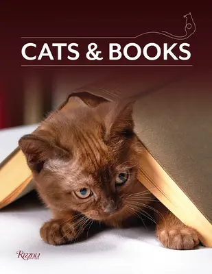 Macskák és könyvek - Cats & Books