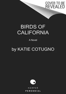 Kalifornia madarai - Birds of California