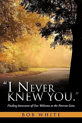 Soha nem ismertelek. - I Never Knew You.