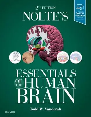 Nolte's Essentials of the Human Brain (Az emberi agy alapjai) - Nolte's Essentials of the Human Brain