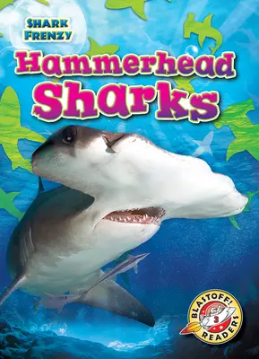 Kalapácscápák - Hammerhead Sharks