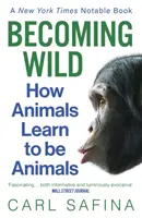 Vaddá válás - Hogyan tanulnak az állatok állatokká válni? - Becoming Wild - How Animals Learn to be Animals