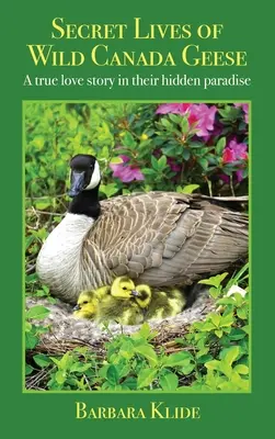 A vad kanadai ludak titkos élete: Egy igaz szerelmi történet rejtett paradicsomukban - Secret Lives of Wild Canada Geese: A true love story in their hidden paradise
