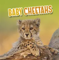 Baby gepárdok - Baby Cheetahs