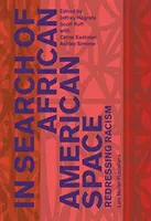 Az afroamerikai tér keresése: Redressing Racism - In Search of African American Space: Redressing Racism