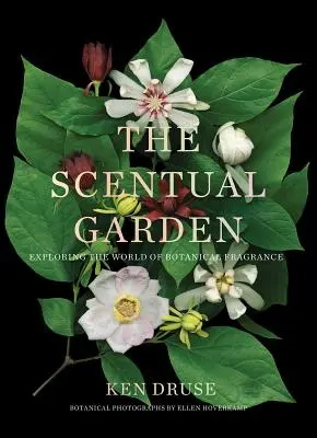 The Scentual Garden: A botanikai illatok világának felfedezése - The Scentual Garden: Exploring the World of Botanical Fragrance